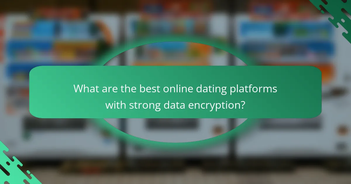 What are the best online dating platforms with strong data encryption?